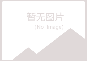 白山夏岚能源有限公司